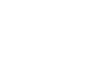 tiny memories